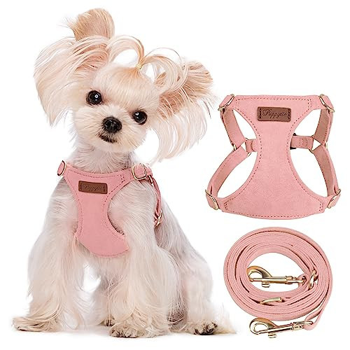 Puppytie No Pull xs Dog Harness with Multifunction Dog Leash,Soft Adjustable No Choke Escape Proof Pet Harness Vest,Pink,XS | Amazon (US)