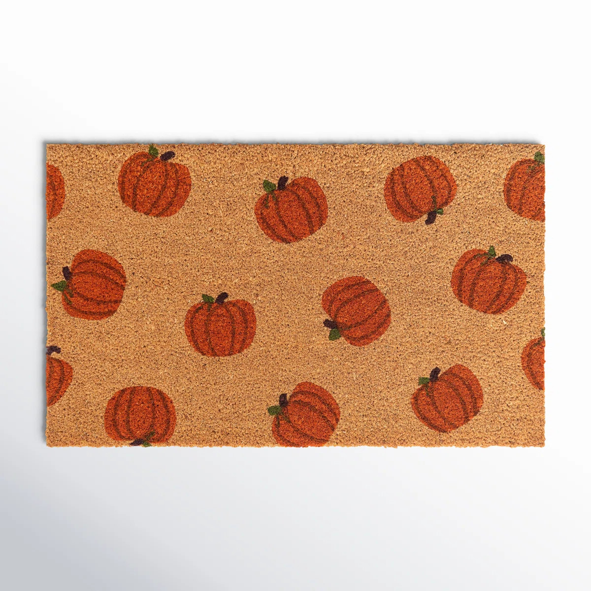 Birch Lane™ Adamsdale Non-Slip Outdoor Door Mat & Reviews | Wayfair | Wayfair North America