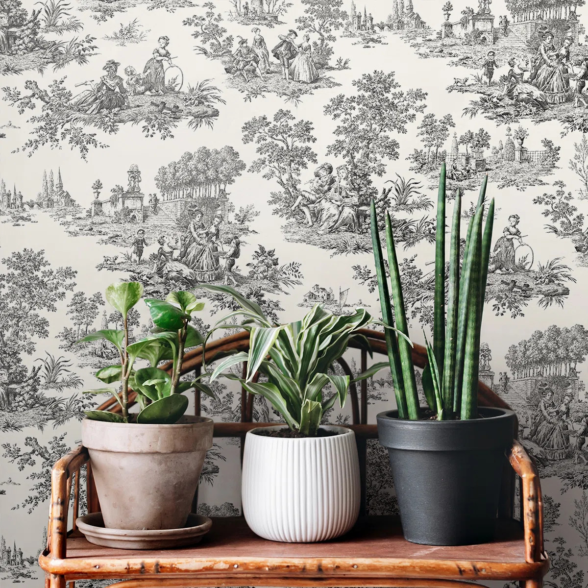 Spurling Peel & Stick Toile Roll | Wayfair North America