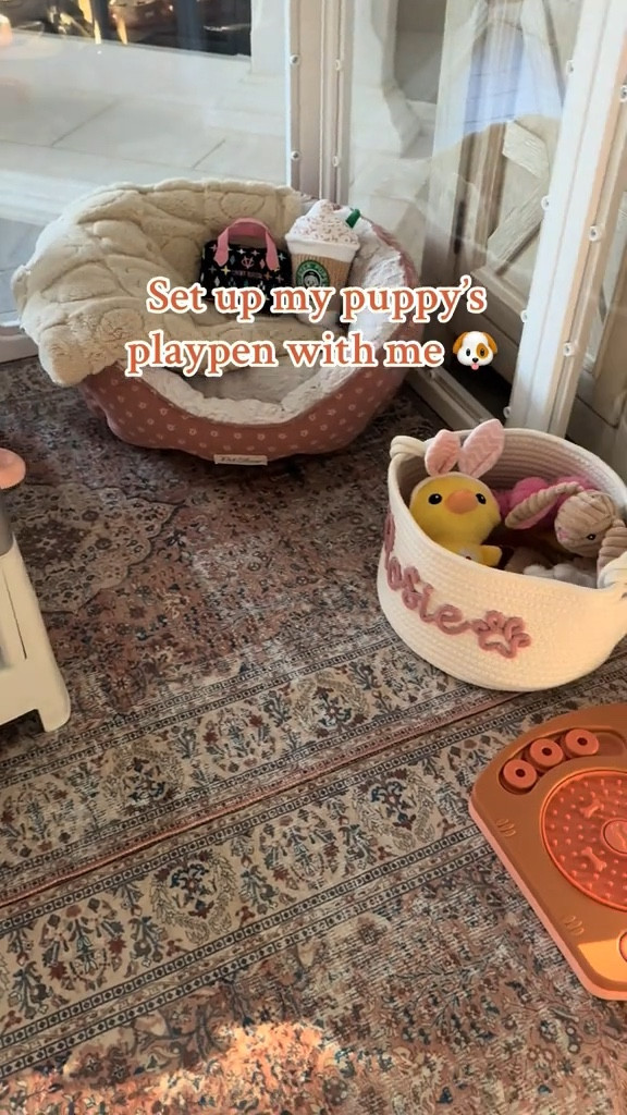 Puppy play pen setup • puppy toys 

#LTKSaleAlert #LTKFamily #LTKPets