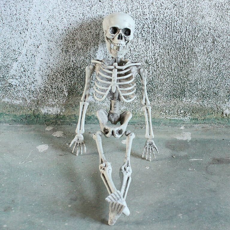 Ma&Baby 15'' Halloween skull bones Poseable Human Skeleton Halloween Decoration Party Prop | Walmart (US)