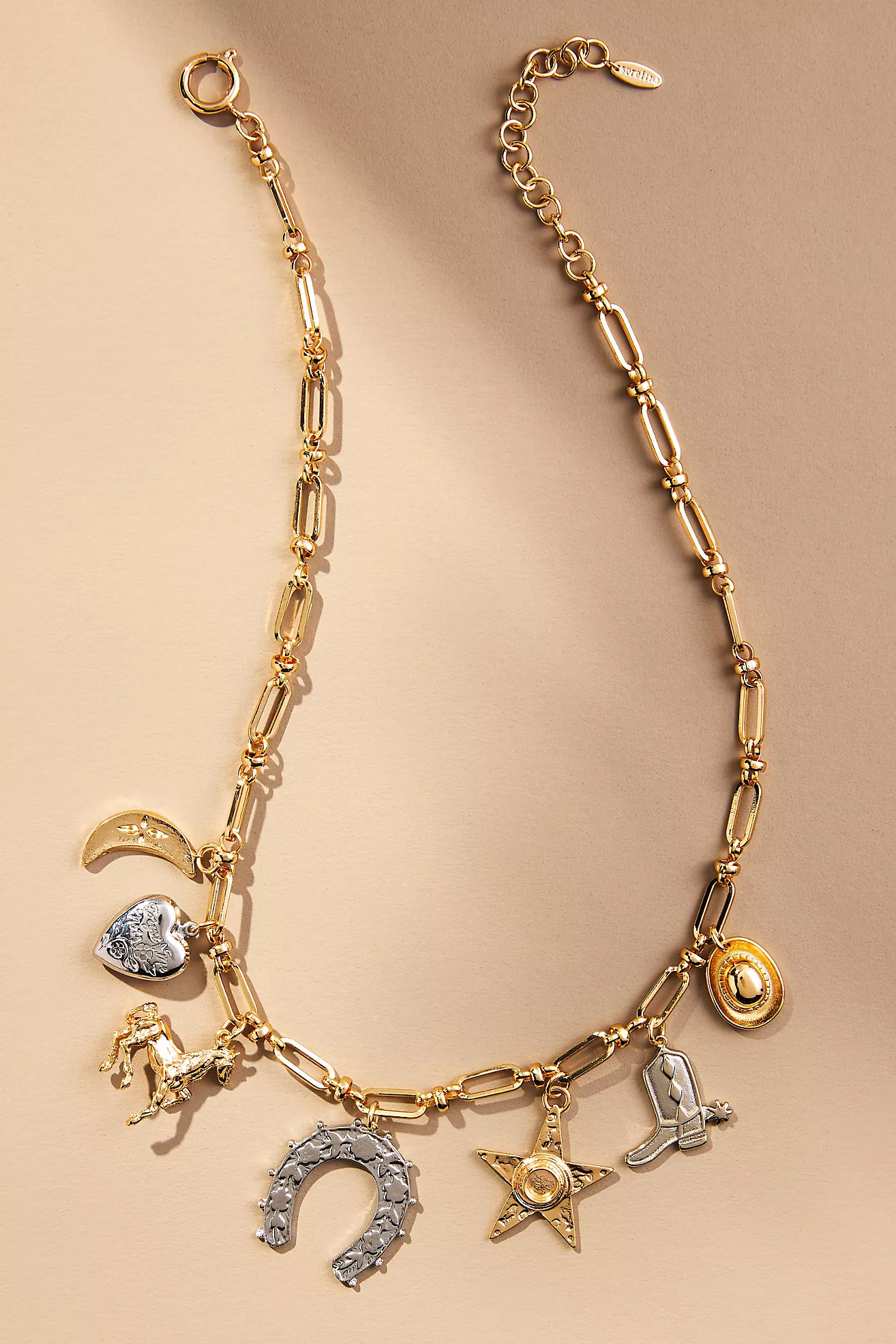 Western Charm Paperclip Necklace | Anthropologie (US)