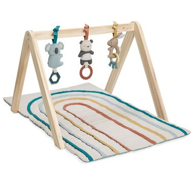Ritzy Activity Gym™ | Indigo (CA)