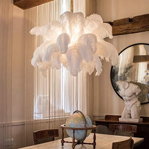 Modern Large Feather Pendant Light,Creative Art Chandelier with Ostrich Hair Lampshade,Luxury Dec... | Amazon (US)