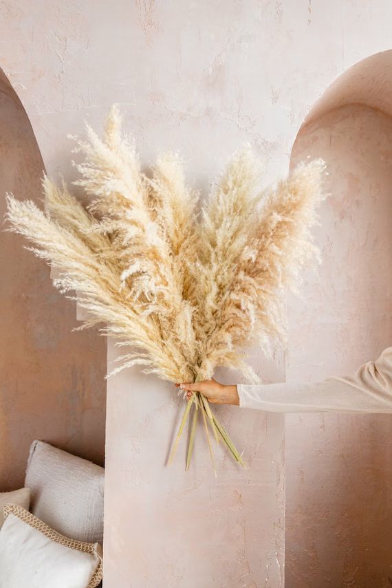 PAMPAS GRASS  TYPE 6 Natural Fluffy Pampas by Luxe B Pampas | Etsy | Etsy (US)