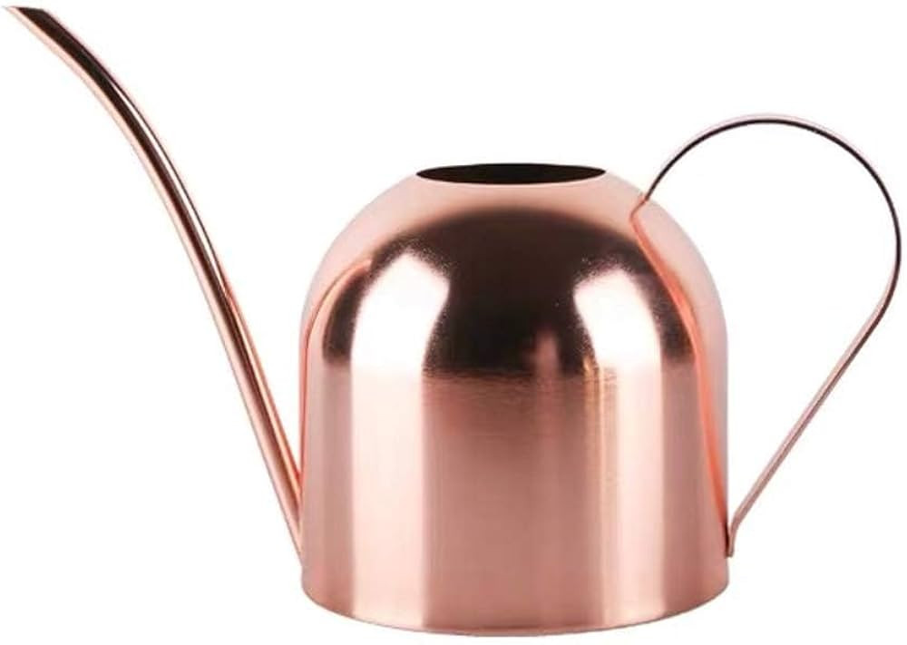 Small Watering Can for Indoor Plants, 15oz/450ml Stainless Steel Long Spout Watering Can for Succ... | Amazon (US)