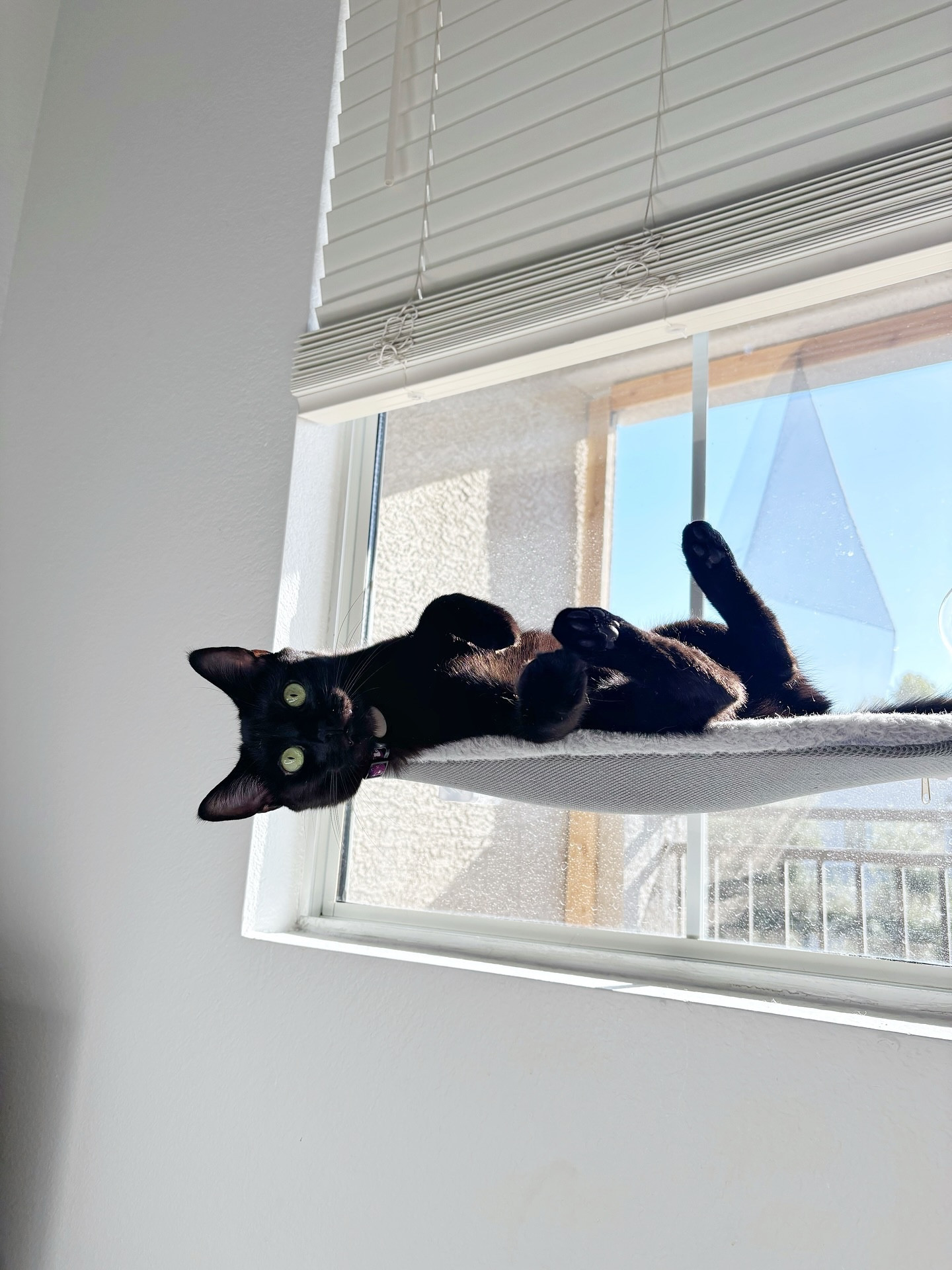 Suns out … belly out ☀️❤️ 