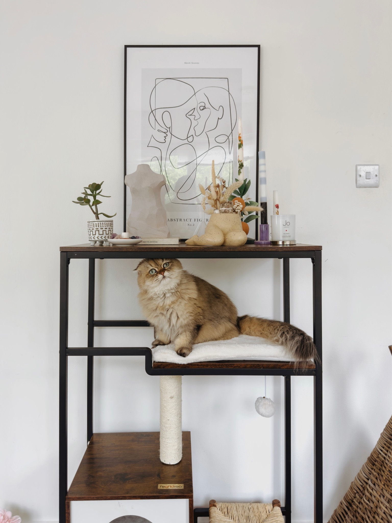 the kitties got a new cat tree 🥰🐾✨

#LTKhome #LTKeurope #LTKFind
