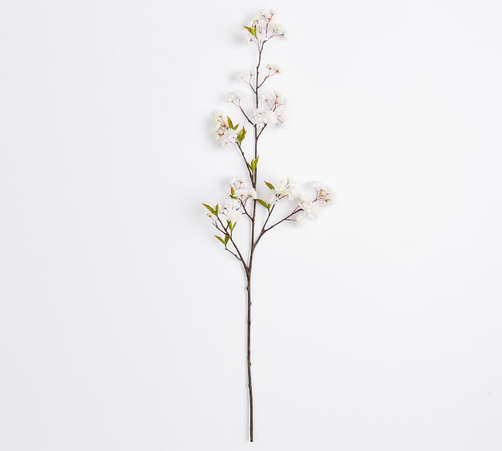 Faux Clustered Cherry Blossom Branch | Pottery Barn (US)