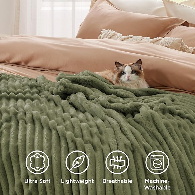 Bedsure Frost Gray Fleece Blanket for Couch - GentleSoft Cozy Soft Blankets for Women, Cute Small... | Amazon (US)