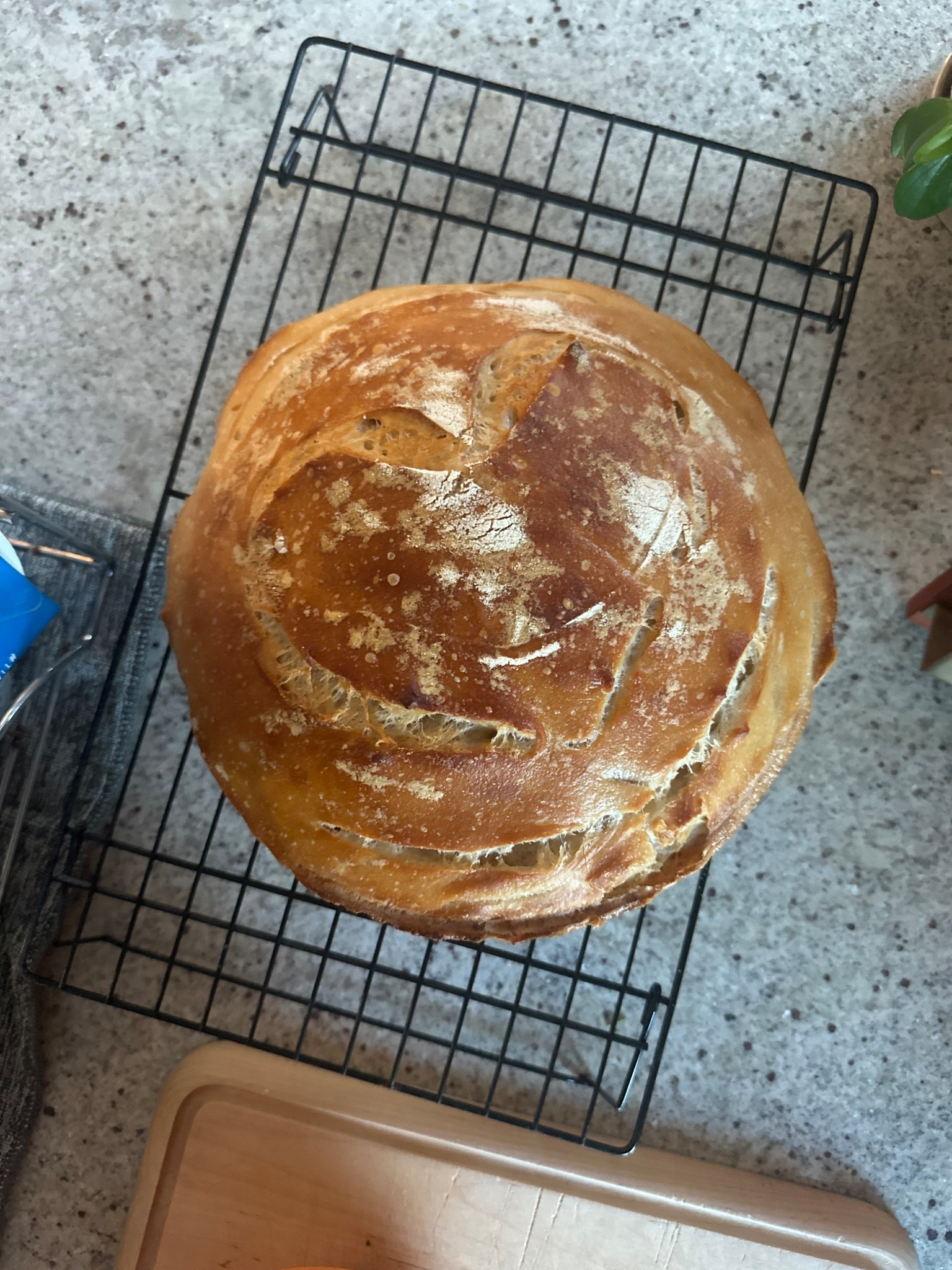 Heart Shaped Loaf 

Linking all of my sourdough essentials 

#LTKfoodie #LTKdayinmylife #LTKHome