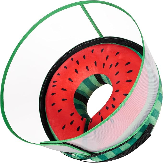 CNEO Inflatable Dog Cone Collar with Detachable Enhanced Anti-Licking Shield, Soft Neck Donut Col... | Amazon (US)
