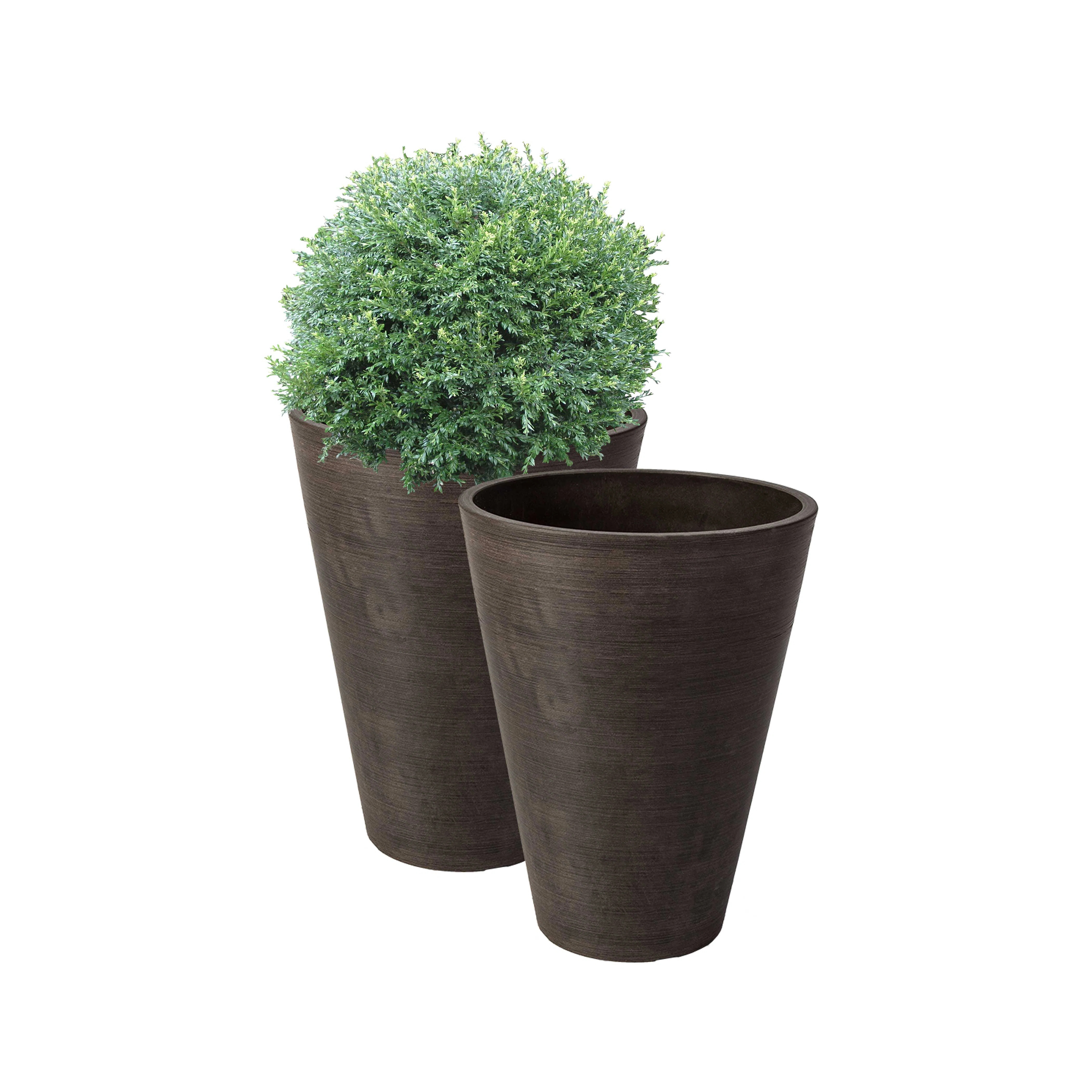 Bayley Composite Round Pot Planter Set (Set of 2) | Wayfair North America