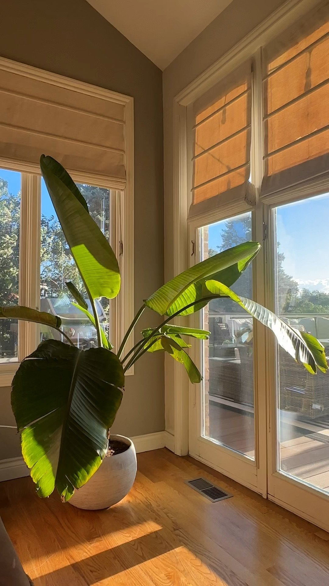 This Home Depot outdoor planter also serves well for indoor plants! Don’t be afraid to bring concrete elements that are traditionally used for outdoor use inside your home. Love the way it makes our traditional space look a bit more modern!

#LTKSeasonal #LTKhome #LTKunder100