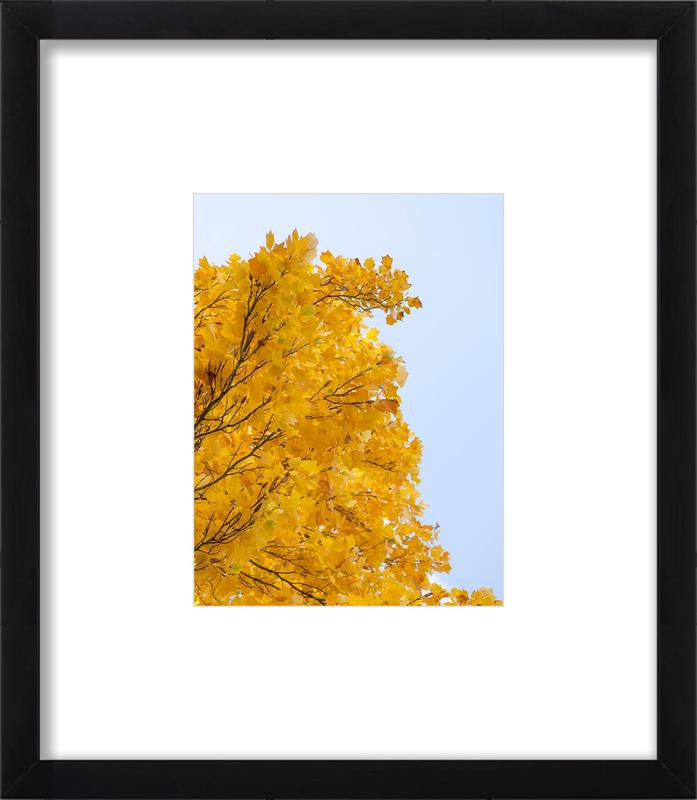 Autumn Leaves | Artfully Walls