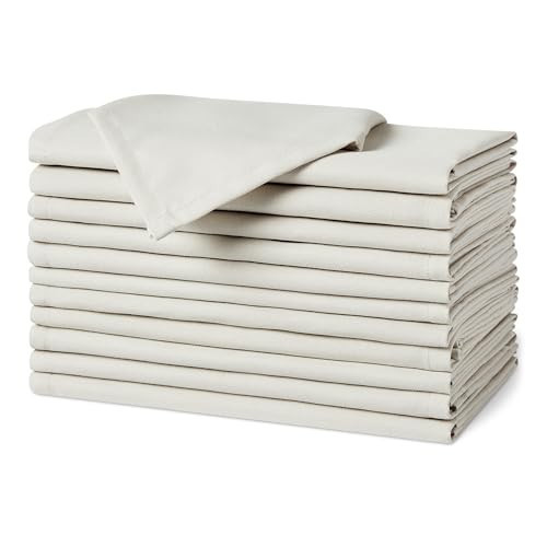 Amazon Basics Reusable Stain and Wrinkle Resistant Cloth Napkins, 17 x 17 inches, White, 12-Pack | Amazon (US)