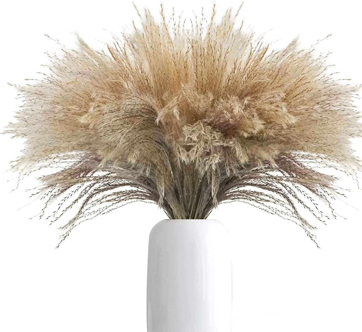 100Pcs Natural Dried Pampas Grass Plume 17inch Tall Dried Flowers Large Faux Reed Artificial Plan... | Walmart (US)
