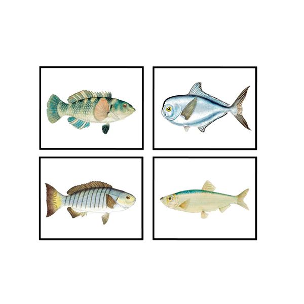 Vintage Blue Fish Set | Urban Garden Prints