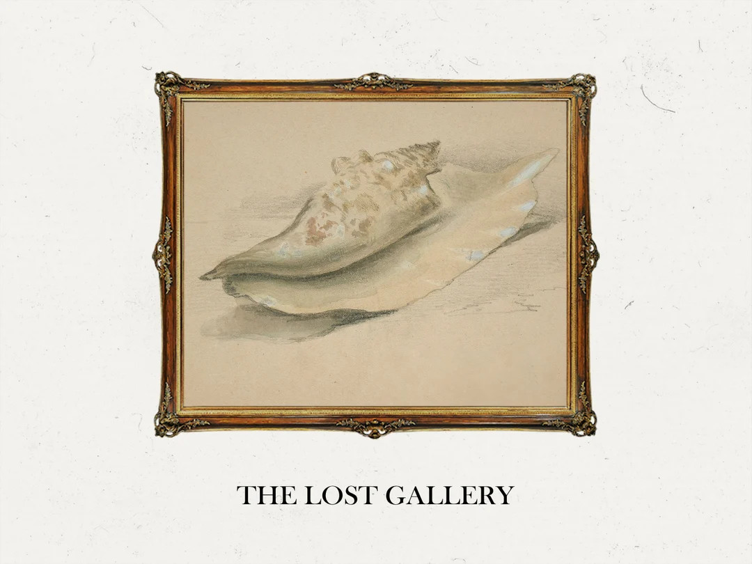 Seashell Art Print | Printable Vintage Art | Summer Art Print - Etsy | Etsy (US)