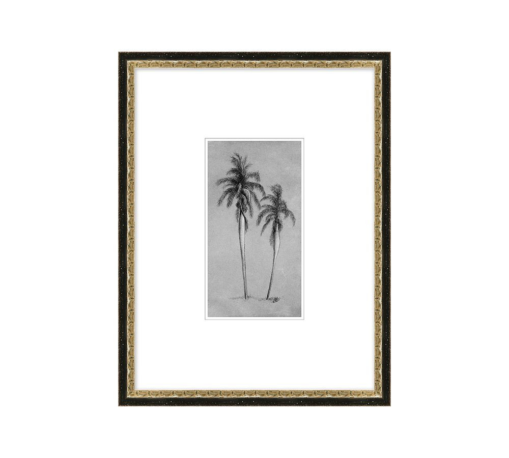 Pencil Sketch Palms Framed Print | Pottery Barn (US)