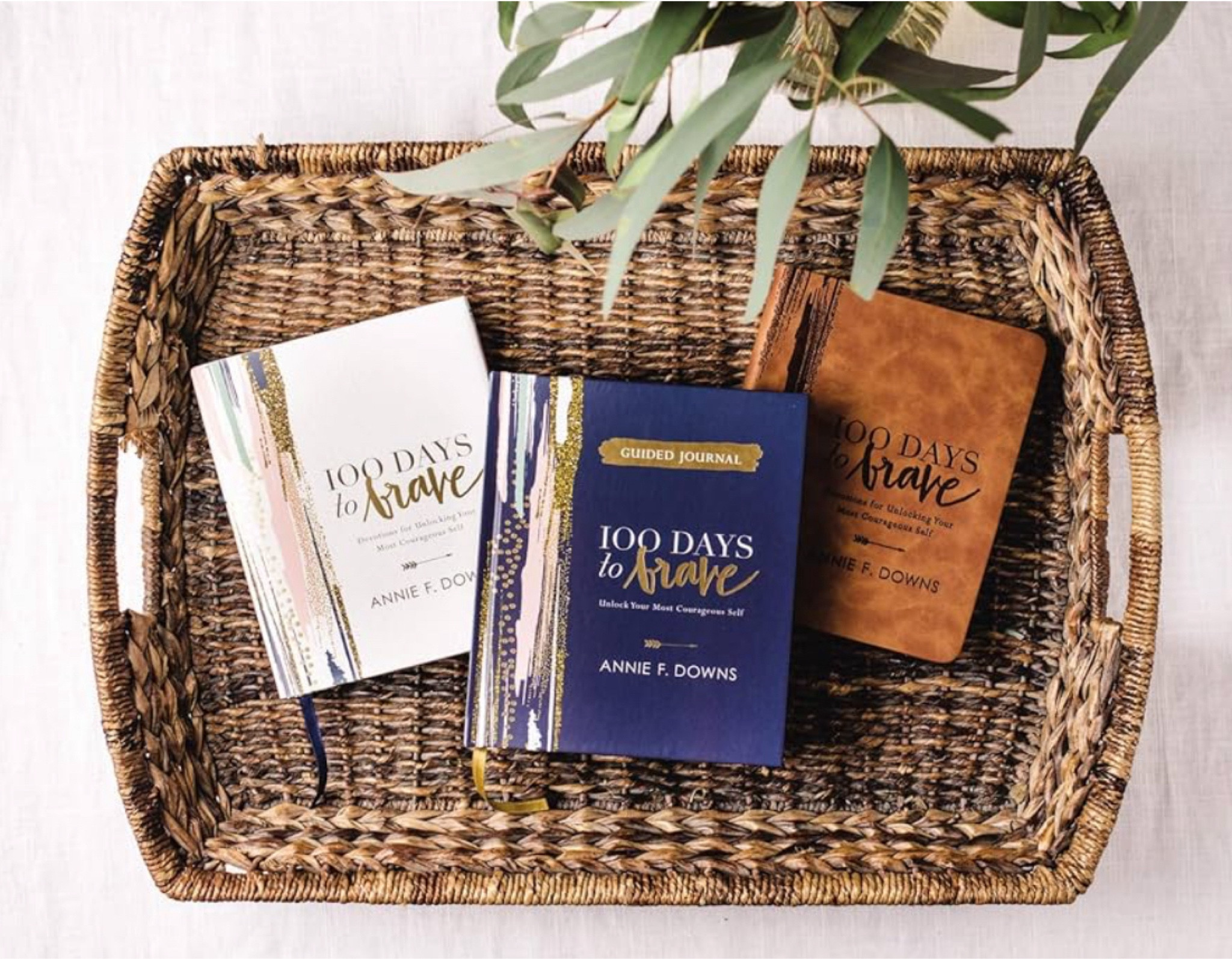 Devotional for Young Women
Something real, encouraging, and written just for this season. Look for titles like 100 Days to Brave or Live on Purpose. Graduation gift for Christian girls. 

#LTKHome #LTKGiftGuide #LTKFindsUnder50