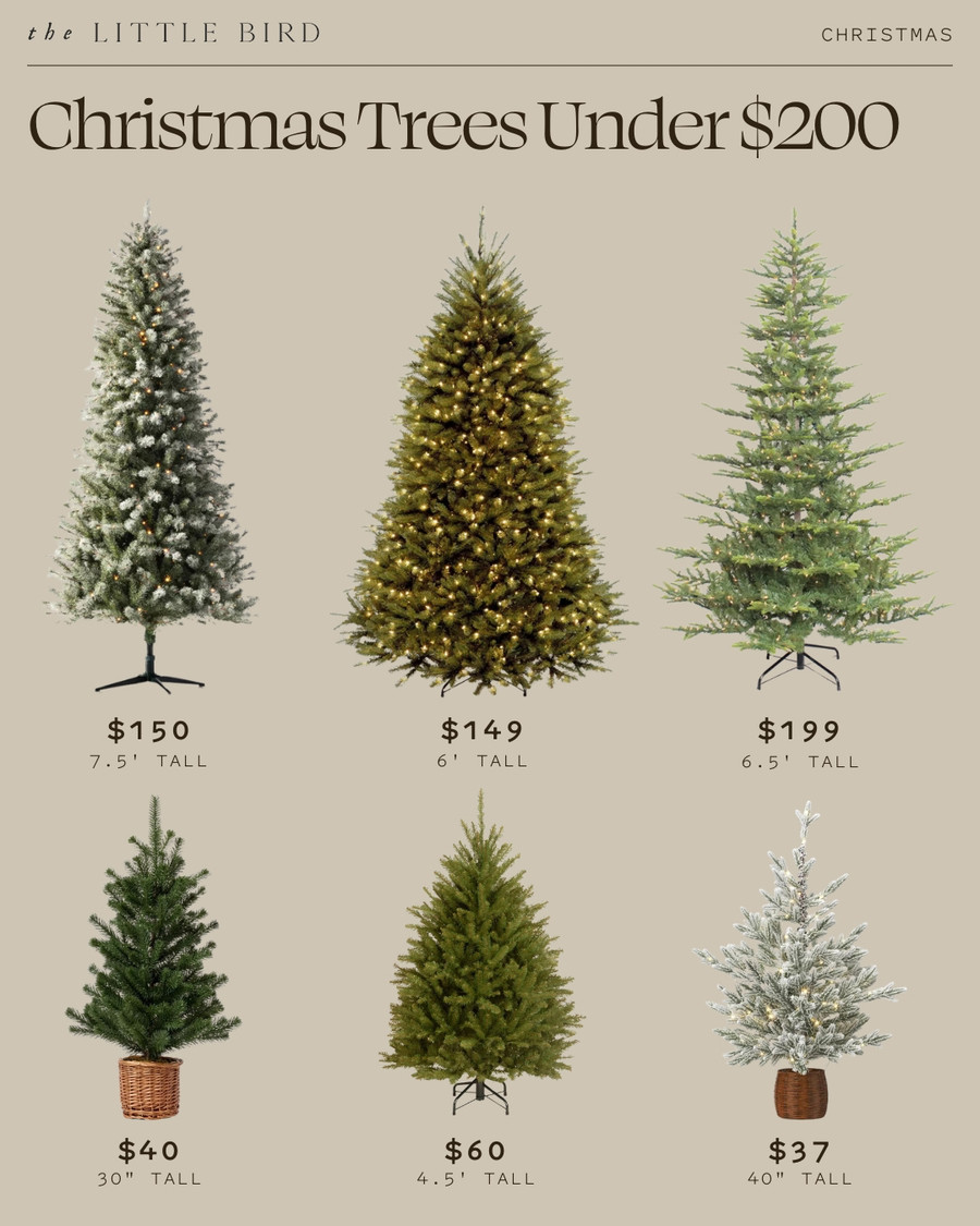 Finding the perfect Christmas tree doesn’t have to break the bank!
