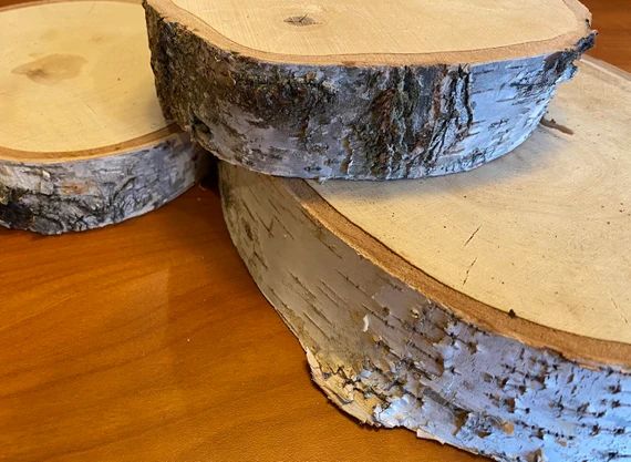 Thick Level White Birch Slabs Dried Birch Tree Disk Tree | Etsy | Etsy (US)