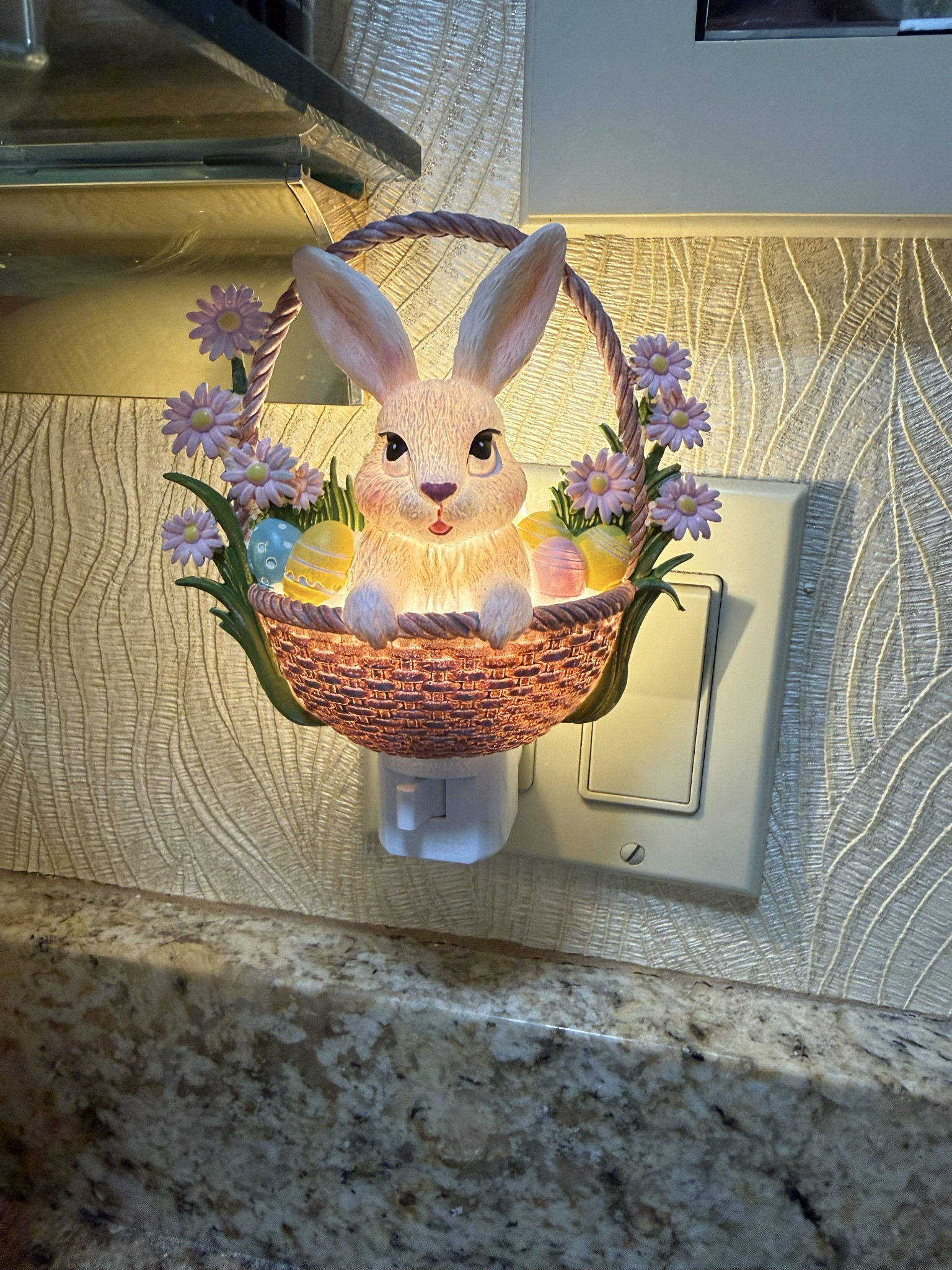 Still looking for decor or something to put in the Easter basket? This easter night light is so cute.

#LTKHome #LTKPetite #LTKSeasonal