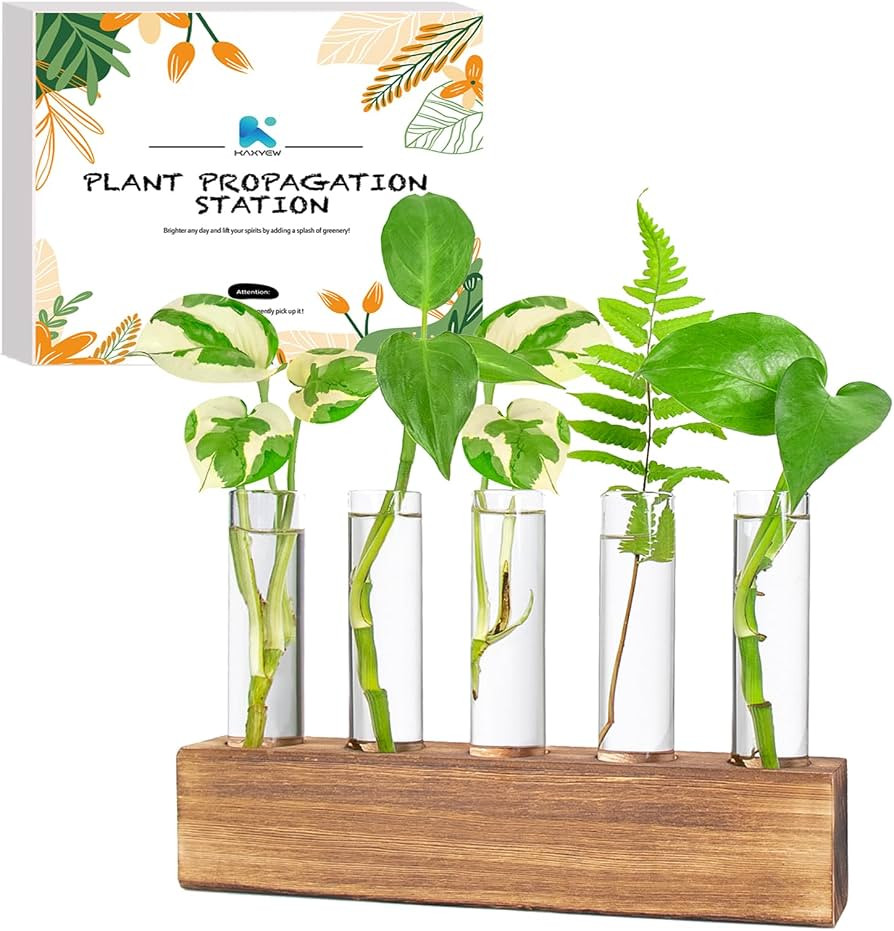 KAXYEW Plant Propagation Station, Plant Propagation Tubes, Gifts for Plant Lovers Office Desk Hou... | Amazon (US)