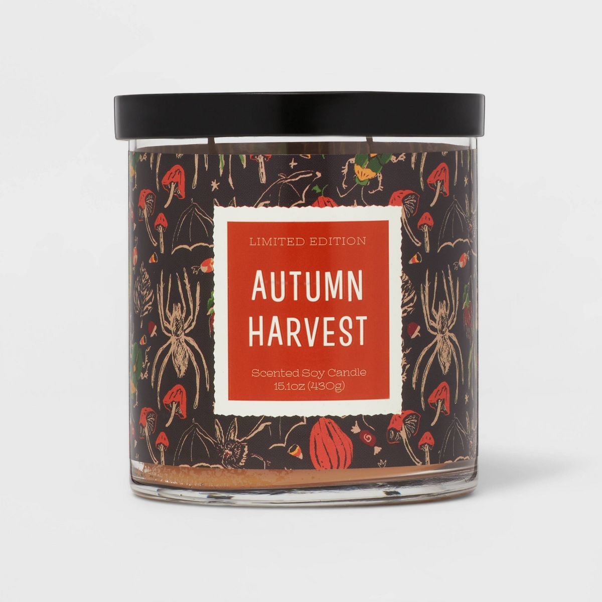 15.1oz 2-Wick Lidded Glass Jar Autumn Harvest Candle Black - Opalhouse™ | Target