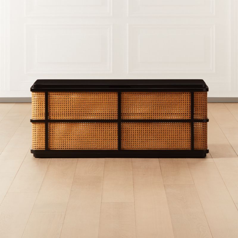 Del Ray TrunkCB2 Exclusive Purchase now and we'll ship when it's available.    Estimated in  mid... | CB2
