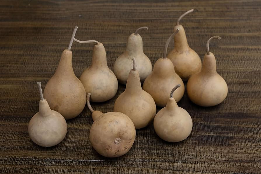 Box of 10 Dried Martin Gourds - 2" Diameter, Ready for Crafting or Decorating | Amazon (US)