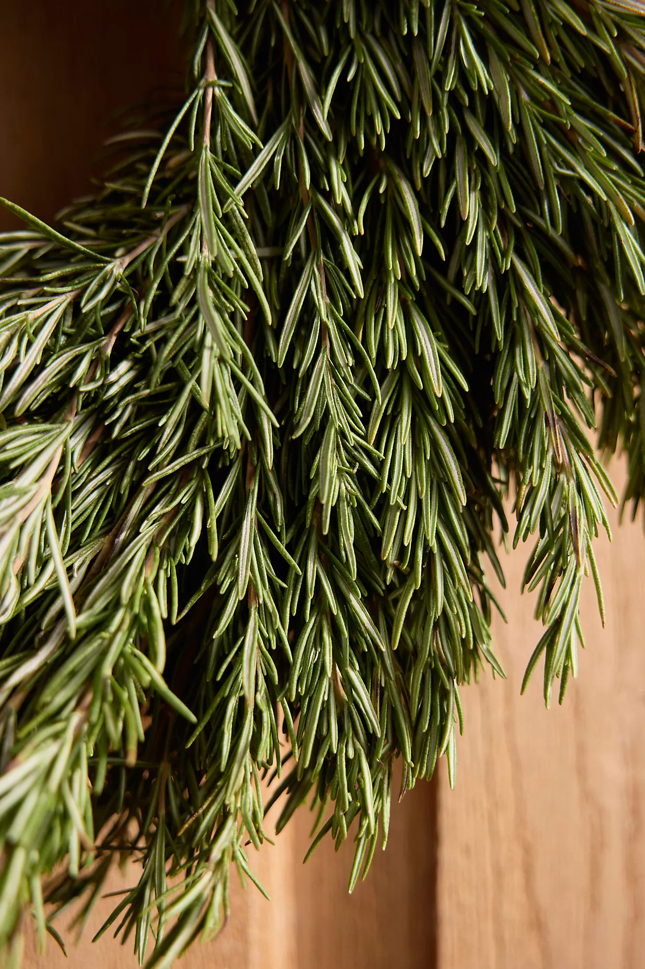 Fresh Rosemary Wreath | Anthropologie (US)