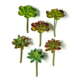 Assorted Snap-On Succulent Pick By Ashland® | Michaels Stores