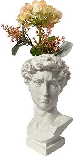 Kelendle Indoor Outdoor Heads Planter Resin Succulent Planter Vase Greek Statue Planter David Scu... | Amazon (US)