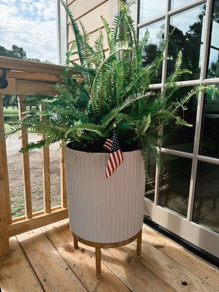 Potted my ferns ✨🌿 + these cutie lil flags! 🇺🇸 my pots are the 16 inch & got them last fall! Love that they’re elevated on the stands! They come in a few other color combos as well! 

Outdoor finds / planters / patio / amazon home / Holley Gabrielle 

#LTKFindsUnder100 #LTKStyleTip #LTKHome