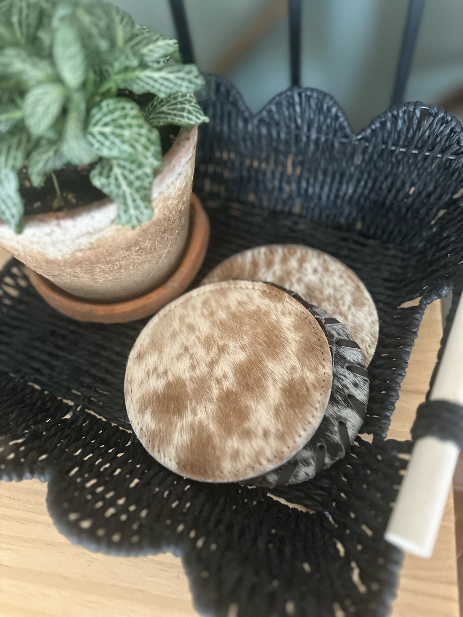 Cowhide coasters 🐄🐮 

#LTKFindsUnder100 #LTKHome #LTKFindsUnder50