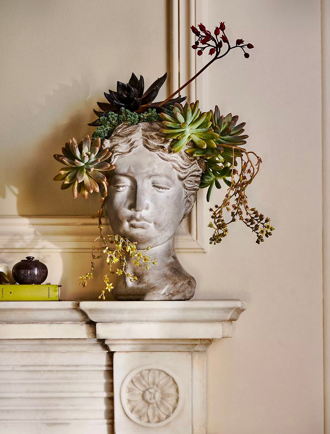 Houseplant love!

#indoorplants #houseplant #plant 

#LTKSeasonal #LTKStyleTip #LTKHome