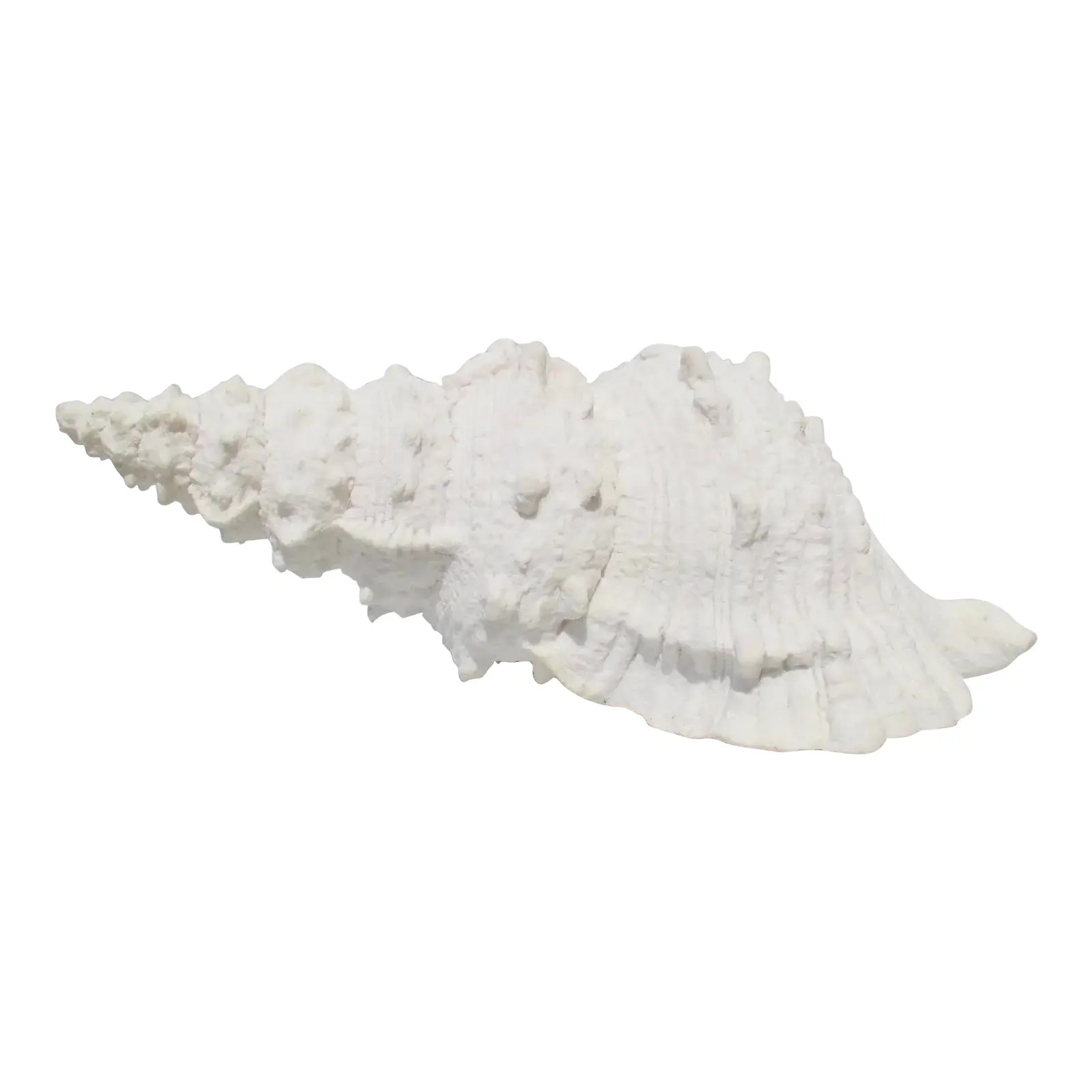 Giant Cast Resin Sea Shell Conch | Chairish
