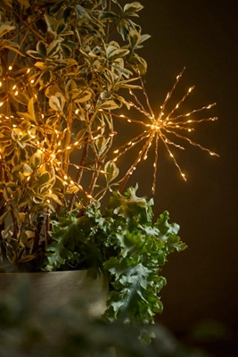 Stargazer Twinkling Supernova Stake Lights, Set of 3 | Terrain