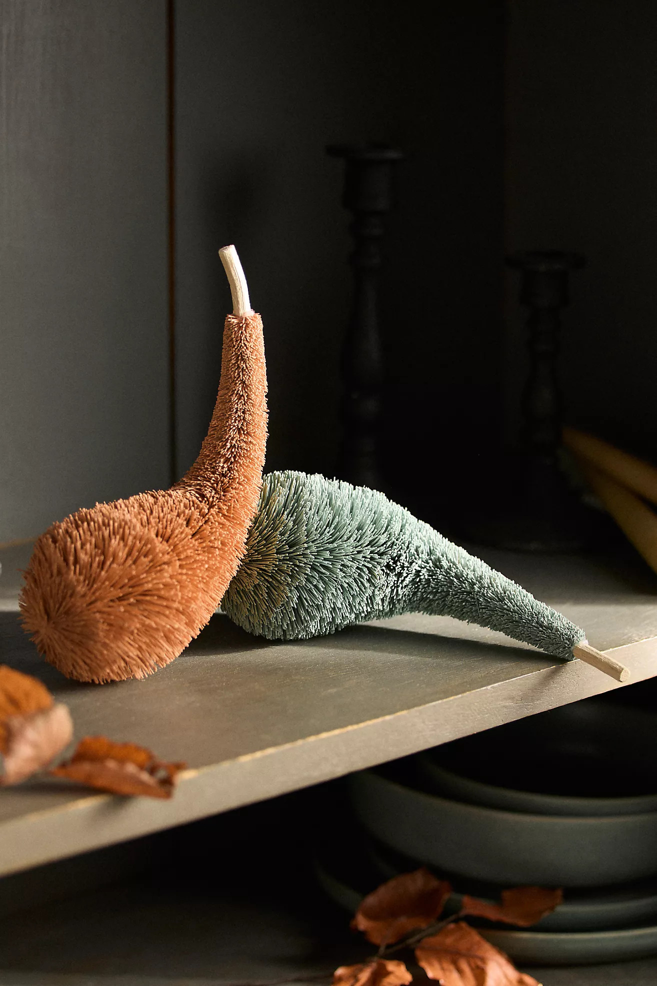 Brush Gourd | Anthropologie (US)