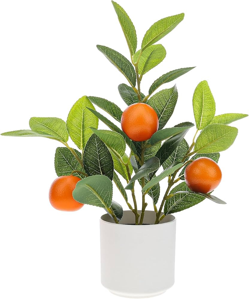 Woration Artificial Orange Plant Potted 14.5inches Small Faux Fruit Orange Tree Bonsai with Black... | Amazon (US)