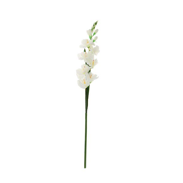 Gladiolus Plants 31inch Wedding Colors White - Walmart.com | Walmart (US)