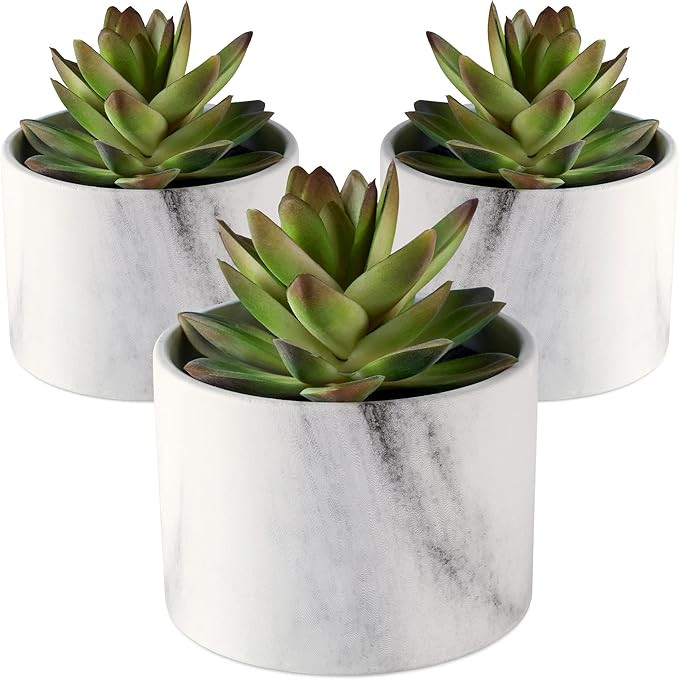 SEEKO Artificial Succulents in Ceramic Pots - Set of 3 Realistic & Beautiful Fake Succulents for ... | Amazon (US)