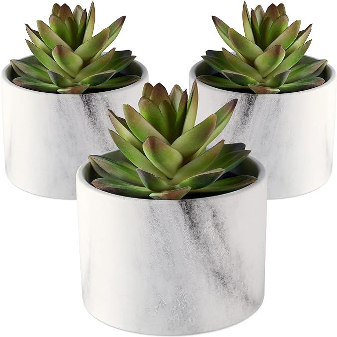 SEEKO Artificial Succulents in Ceramic Pots - Set of 3 Realistic & Beautiful Fake Succulents for ... | Amazon (US)