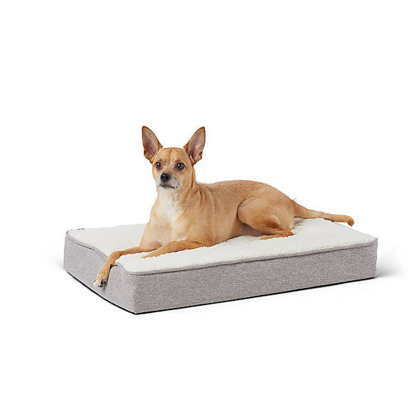 Top Paw® Orthopedic Mattress Dog Bed | PetSmart