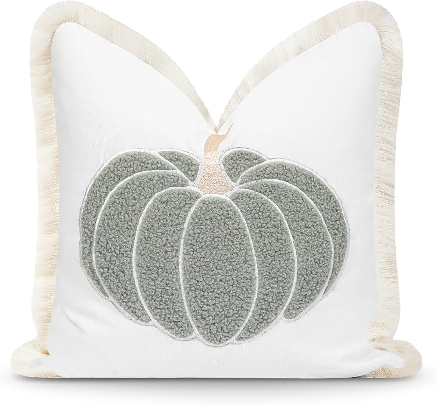 Hofdeco Premium Fall Coastal Patio Indoor Outdoor Pillow Cover Only, 20"x20" Water Repellent for ... | Amazon (US)