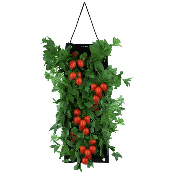 Organic Hanging Roma Tomato Growing Kit | Wayfair North America
