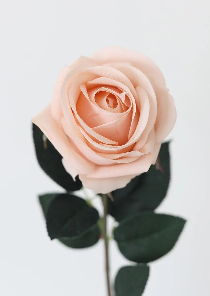 Real Touch Rose in Light Pink - 20" | Afloral