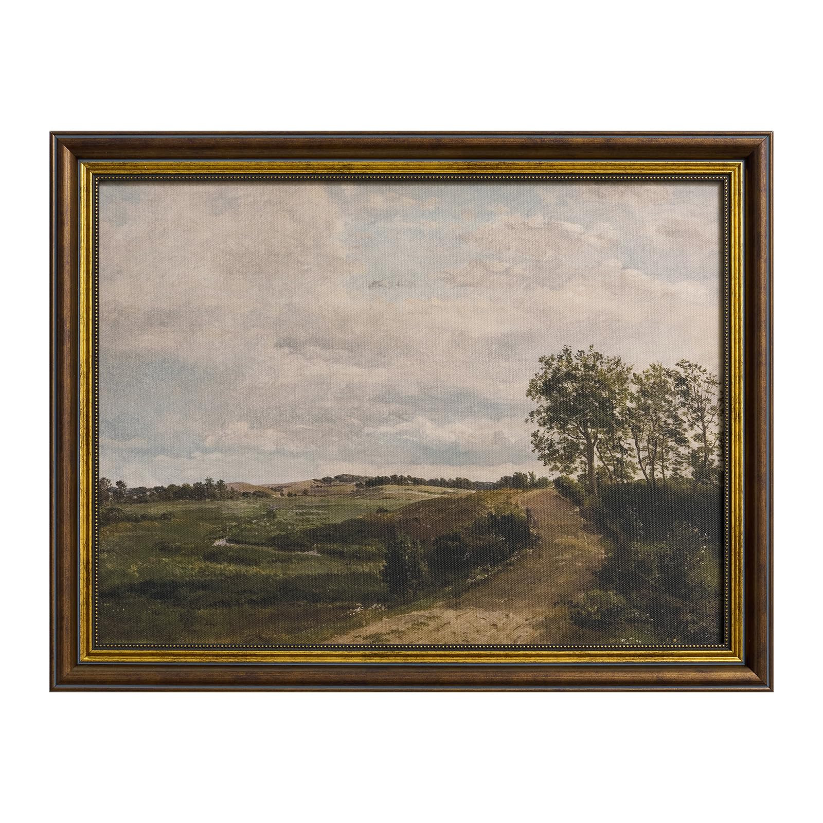 DAJONART Framed Wall Art for Livingroom Farmhouse, Countryside Landscape Canvas Print with Reusab... | Amazon (CA)